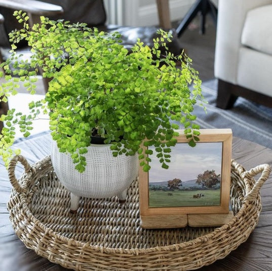 Best Home Decorating Ideas with Baskets in 2025