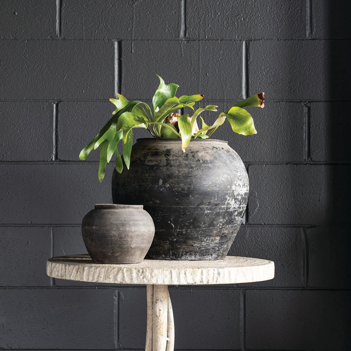 Cunmin Planter