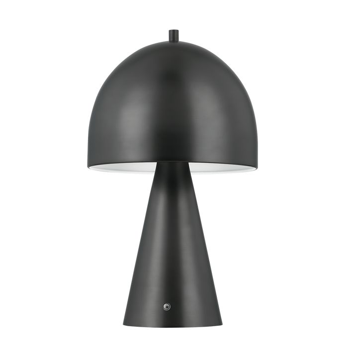 A black ceiling-mounted light fixture with a conical shade.