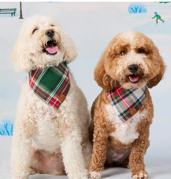 Two dogs wearing plaid bandanas frolic in the snow on a bright winter day.