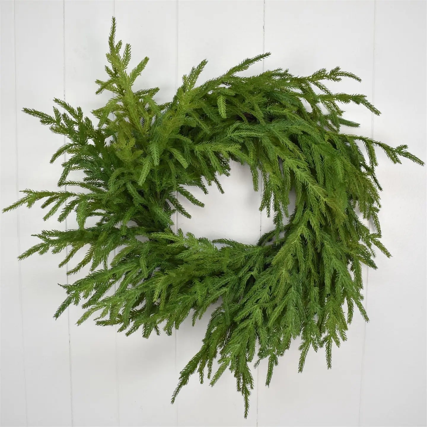 24" Norfolk Pine Wreath - Real Touch