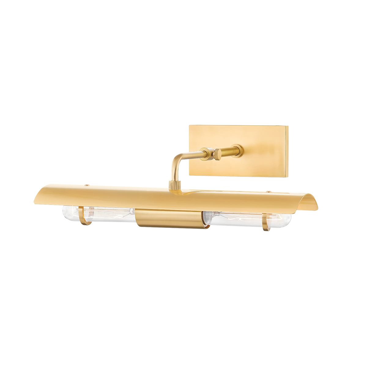 Raelynn Picture Light