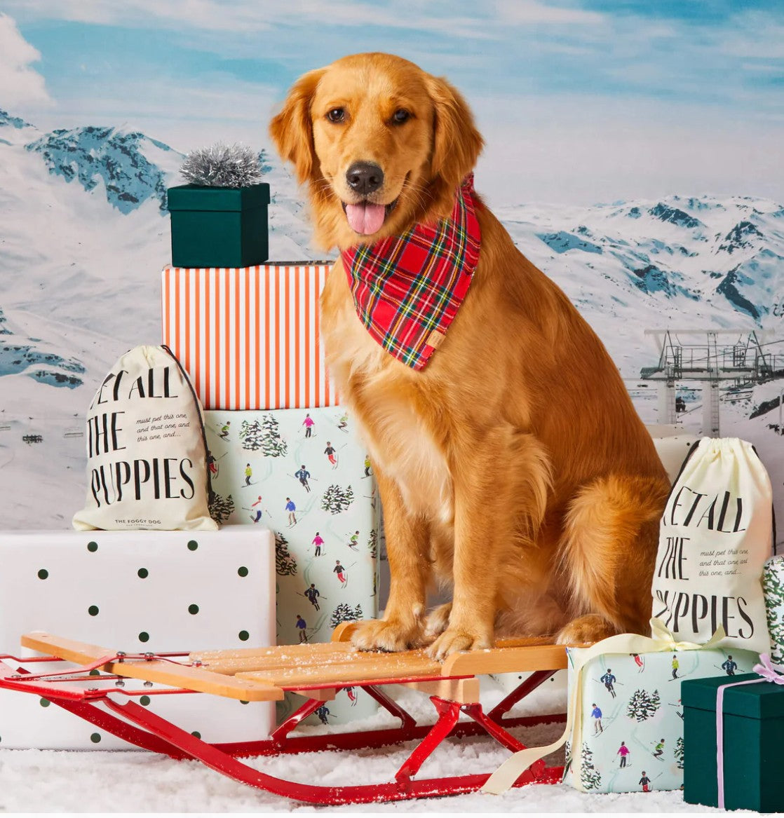 A golden retriever sitting on a sled surrounded by colorful presents, exuding a festive and cheerful atmosphere.
