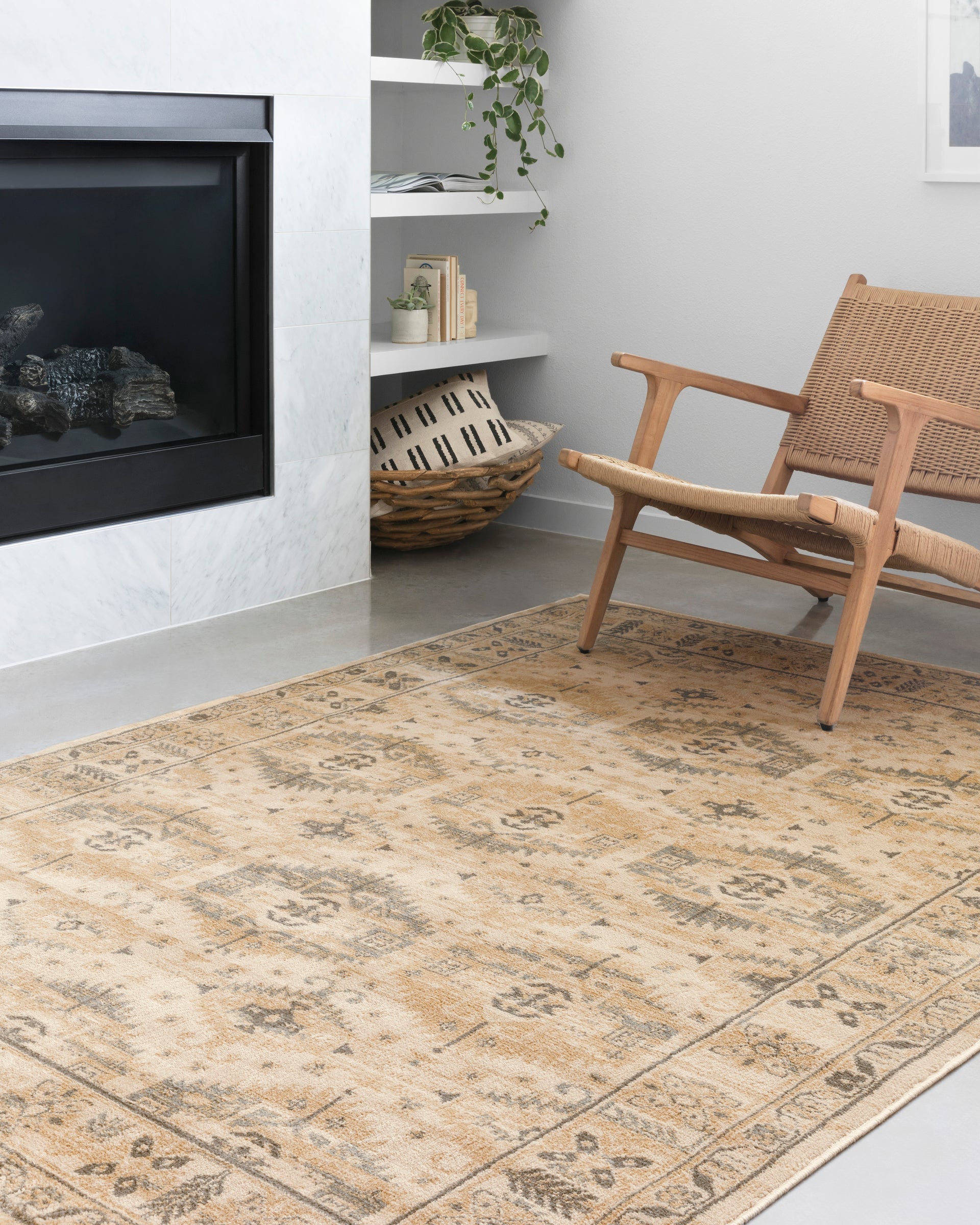 Transform Your Home Décor with the Isadora Rug Collection