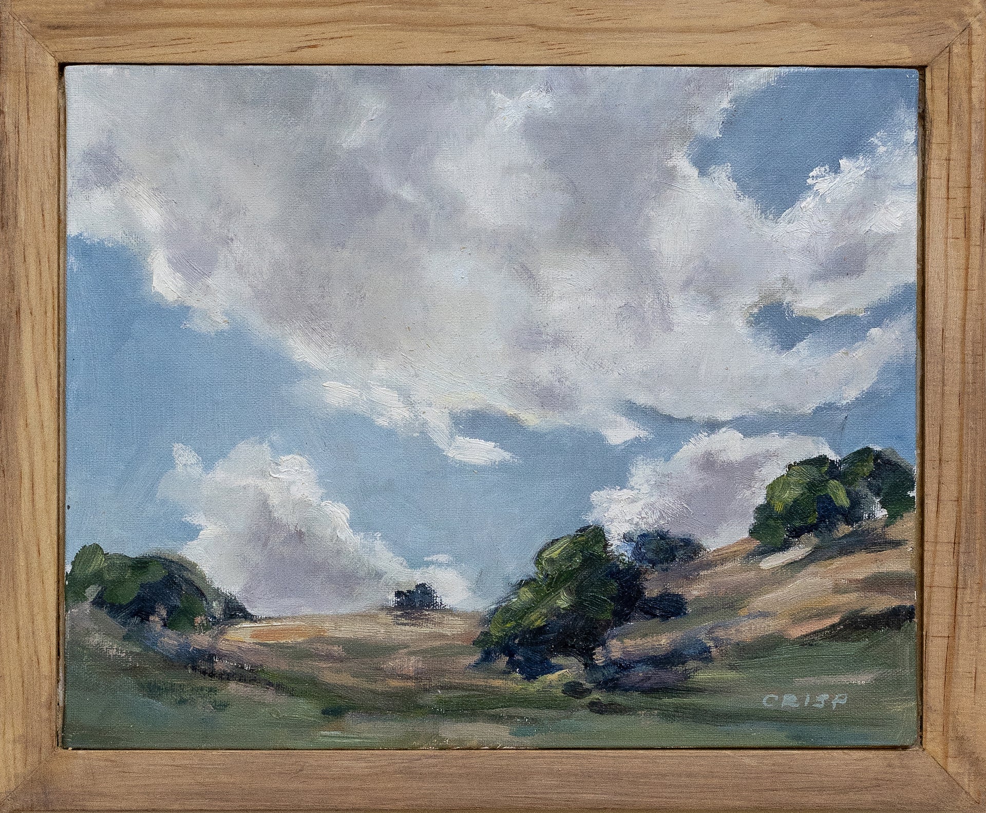 Valley Trees